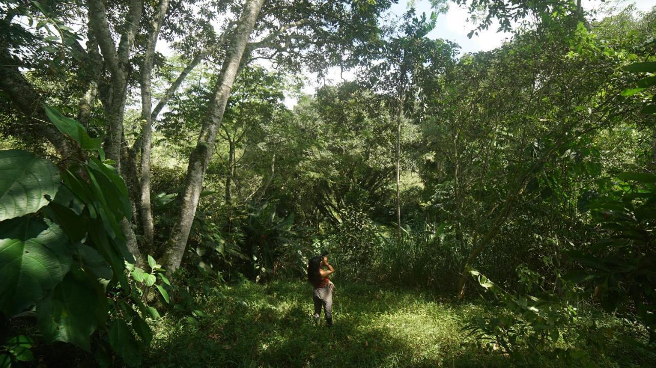 Finca La Argelia Quimbaya Zewnętrze zdjęcie